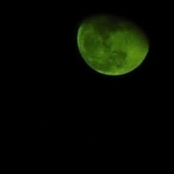 Meet your Posher, Moon - Picture 1 of 1